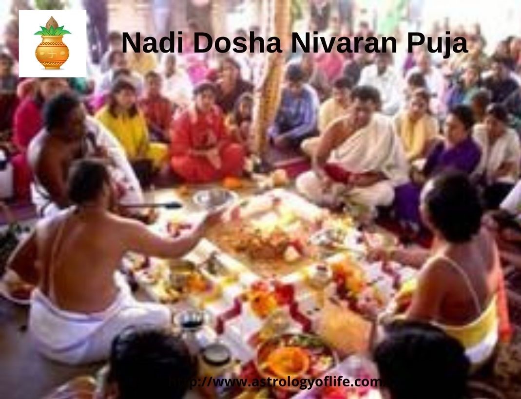 Nadi Dosha Nivaran Puja