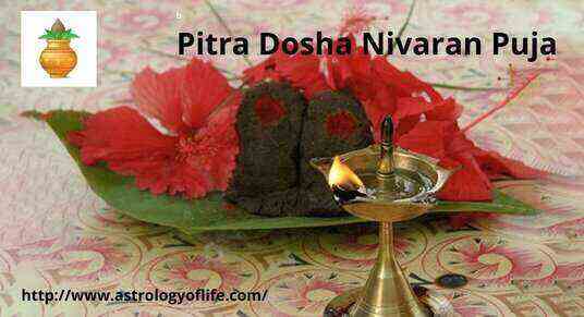 Pitra Dosha Nivaran Puja